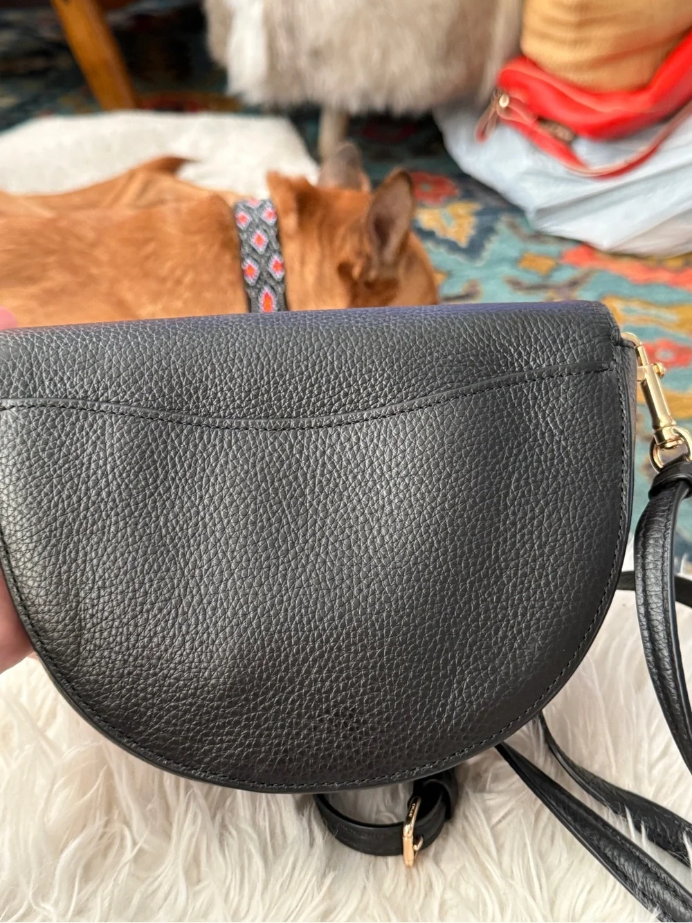 Coach Black Pebbled Leather Crossbody Bag with Gold Logo